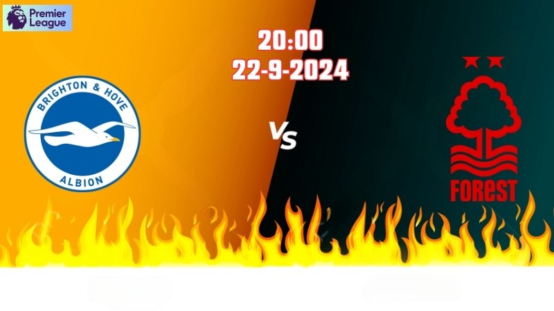 Soi kèo bóng đá Brighton vs Nottingham 20h00 ngày 22/9