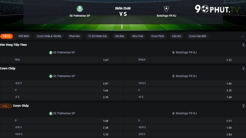 Palmeiras vs Botafogo