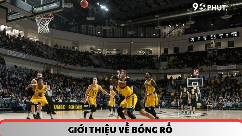 Giới thiệu về bóng rổ