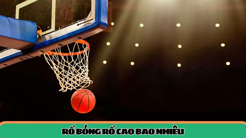 Rổ bóng rổ cao bao nhiêu